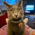   : Bianca