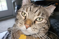   : Ella