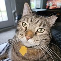   : Ella