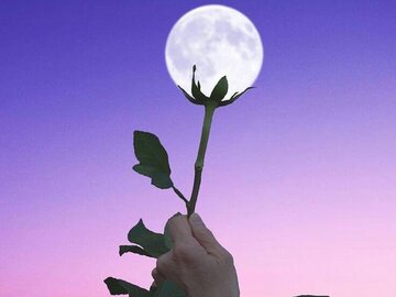 Selling: NEW! MAY 2026 FULL MOON SPELL CASTING & READING SPECIAL DEAL
