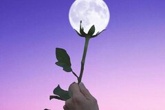 Selling: NEW! MAY 2026 FULL MOON SPELL CASTING & READING SPECIAL DEAL