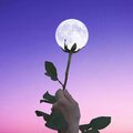 Selling: NEW! MAY 2026 FULL MOON SPELL CASTING & READING SPECIAL DEAL
