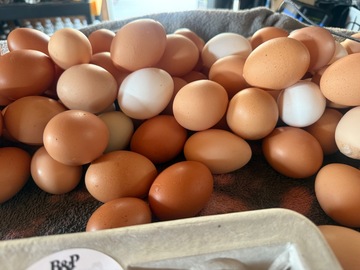 Selling with In-person Payment: B&P Farm Fresh Eggs