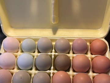 Selling with In-person Payment: Farm Fresh Eggs 