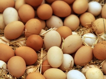 Selling with In-person Payment: Farm Fresh Eggs