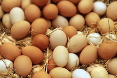 Selling with In-person Payment: Farm Fresh Eggs