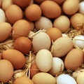 Selling with In-person Payment: Farm Fresh Eggs