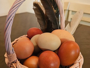 Selling with In-person Payment: Farm fresh unwashed eggs