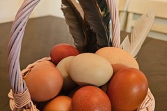 Selling with In-person Payment: Farm fresh unwashed eggs