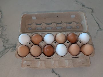 Selling with In-person Payment: Chicken Eggs - Dozen