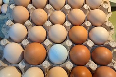 Selling with In-person Payment: 30-egg Flats - Chicken Eggs