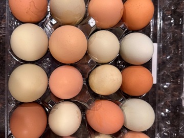 Selling with online payment: Farm Fresh Colored Eggs 