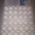 Selling with In-person Payment: Fresh Large White Eggs