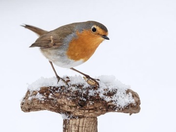 Selling: Your signs from spirit is around you reading 