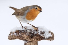 Selling: Your signs from spirit is around you reading 