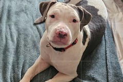   : Ellie