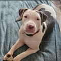   : Ellie