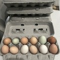 Selling with In-person Payment: Assorted Farm Fresh Eggs in Morgan Hill