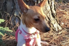   : Little Debbie