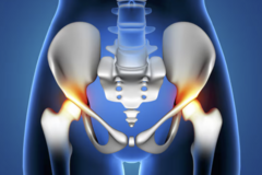 Kurs: Master Course Anatomia sekcyjna: MIEDNICA