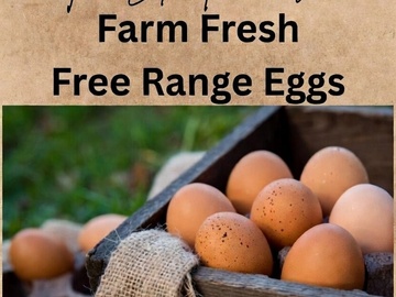 Selling with In-person Payment: Free range eggs