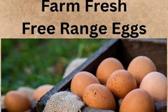 Selling with In-person Payment: Free range eggs