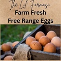 Selling with In-person Payment: Free range eggs