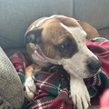   : Zera