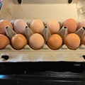 Selling with In-person Payment: Non-GMO Pasture Raised Fresh Eggs