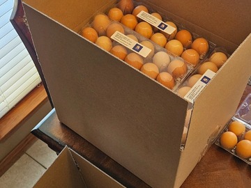 Selling with online payment: Canton Farm-Raised Eggs (Ungraded)