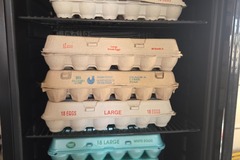 Selling with In-person Payment: Farm fresh eggs 