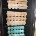 Selling with In-person Payment: Farm fresh eggs 