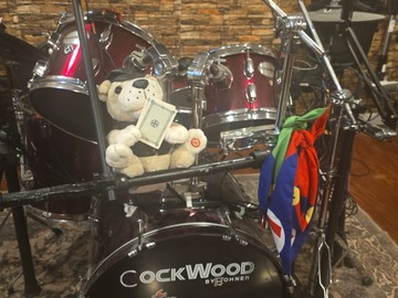 Selling with online payment: acoustic turned into electronic drums 