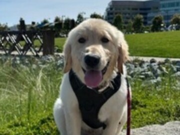   : Max 