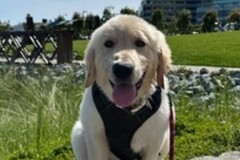   : Max 