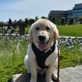   : Max 