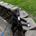   : Charlie B