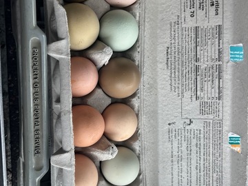 Selling with In-person Payment: Colorful eggs 