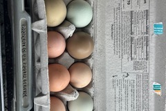 Selling with In-person Payment: Colorful eggs 
