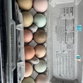 Selling with In-person Payment: Colorful eggs 