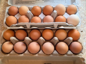 Selling with In-person Payment: Free range chicken eggs