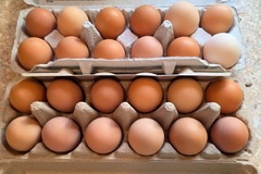 Selling with In-person Payment: Free range chicken eggs