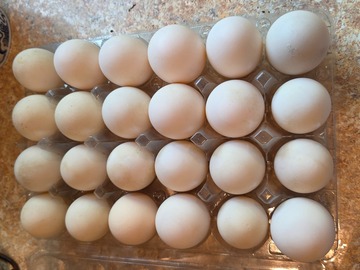 Selling with In-person Payment: Free range duck eggs