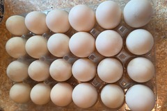 Selling with In-person Payment: Free range duck eggs