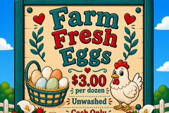 Selling with In-person Payment: Farm Fresh Eggs