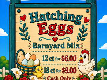 Selling with In-person Payment: Barnyard Mix Hatching Eggs