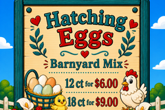 Selling with In-person Payment: Barnyard Mix Hatching Eggs