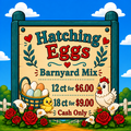 Selling with In-person Payment: Barnyard Mix Hatching Eggs
