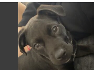   : Luna