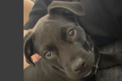  : Luna